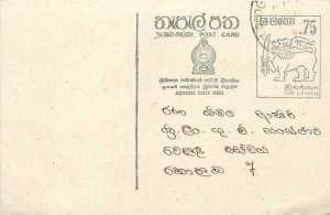 Entier Postal Stationery Postal Sri Lanka Ceylon Lion