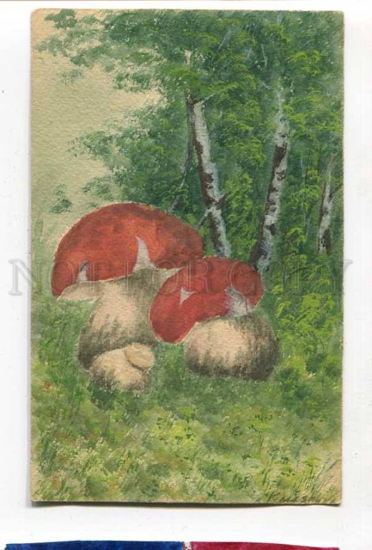 285915 KEIZER Artist Signed MUSHROOM Water Color HAND PAINTED