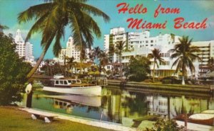 Florida Miami Beach Luxurious Hotels Along Collins Avenue From Indian Creek