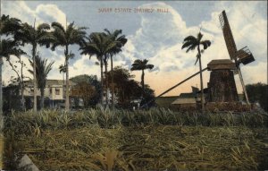 Haynes Hill Barbados Sugar Estate Windmill c1910 Vintage Postcard