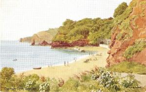 \Coryton Cove, Dawlish\ Nice English PC, signed A.R.Quinton 