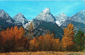 USA Wyoming Grand Teton National Park Autumn View Vintage Postcard C221