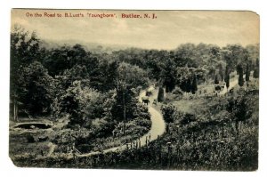 PX1w Butler, N.J. 1914 On the Road to B. Lust's Youngborn Road Horse & Buggys