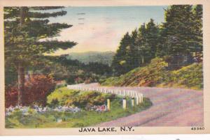 New York Scene At Java Lake 1949