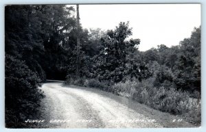 RPPC NEW IBERIA, Louisiana LA ~ Scene JUNGLE GARDEN c1940s Real Photo Postcard