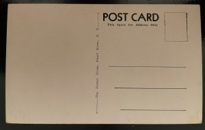 Vintage Postcard 1907-1915 St. Paul's P.E. Church, Paterson, New Jersey (NJ)