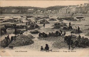 CPA Cancale Triage des Huitres (1236407)