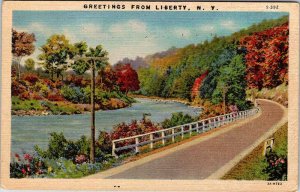 Postcard ROAD SCENE Liberty New York NY AN9325