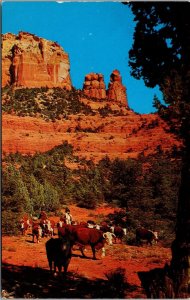 Vtg Arizona AZ Cowboys Herding Cattle Country Oak Creek Canyon 1970s Postcard