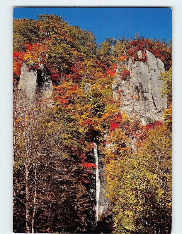 Postcard Shiranuno Water Falls Oirase River Yamagata Japan