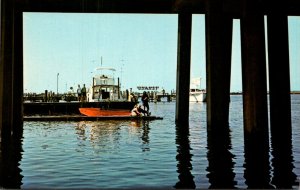 Maryland Ocean City Fishing On Catwalk Below U S Highway 50 Bridge