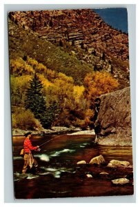 Vintage 1954 Postcard Fisherman in the River Mountains in the Background