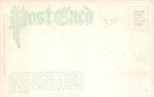 C45/ Elliston Virginia Va Postcard c1910 Big Spring Murrell Scene