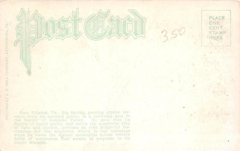 C45/ Elliston Virginia Va Postcard c1910 Big Spring Murrell Scene