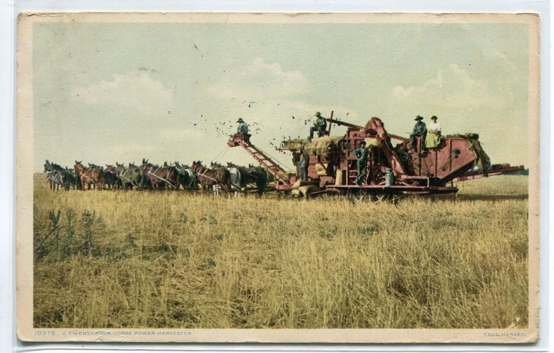 Horse Thresher Harvesting 24 horsepower Farming 1911 Phostint postcard