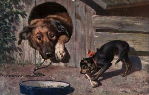 Big Dog Watches as Tiny Dog Steals Bone MINIATURE PINSCHER ?? c1910 Postcard