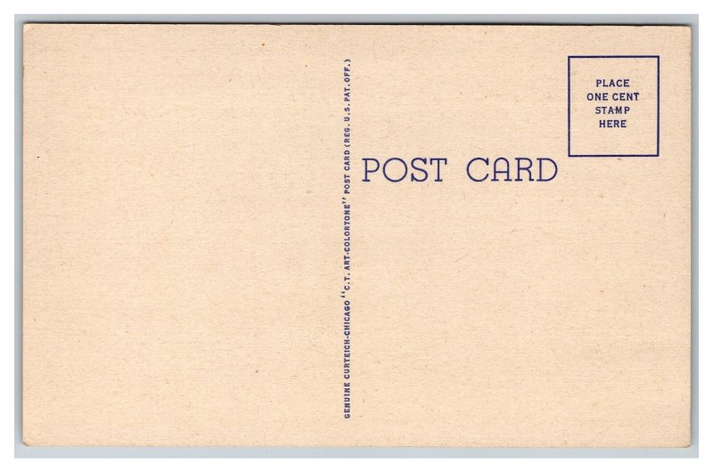 Greetings From IOWA LARGE Letter Postcard