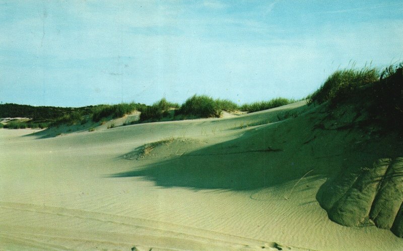 Vintage Postcard 1960 Shadows Of The Dunes Sand Dunes Cape Cod Massachusetts MA