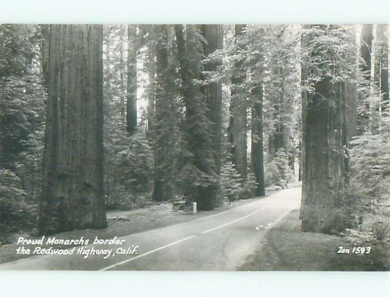 Old rppc NATURE SCENE Great Postcard AB0537