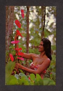 HI Hawaiian Antheriums Flowers S South Miura Farm Pahoa Hawaii Postcard