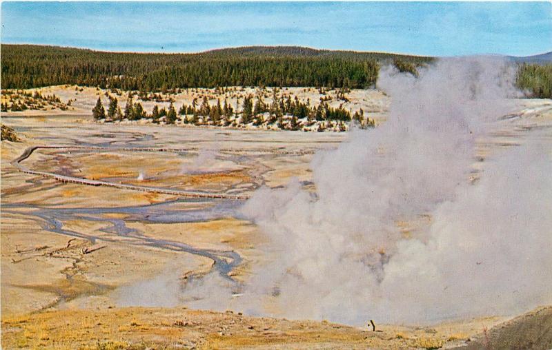 Vintage Postcard Norris Geyser Basin Yellowstone Park Basin Trail Coulter's Hell