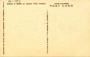 Cactus in Bloom on Apache Trail, Arizona