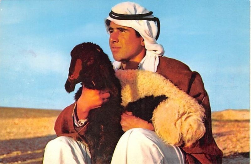 A Shepherd boy with one of his flock Israel Unused 