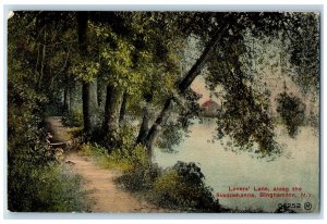 1912 Lovers' Lane Along The Susquehanna Binghamton New York NY Posted Postcard 