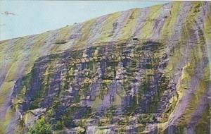 Georgia Atlanta Stone Mountain Carvings Of Confederate Heroes