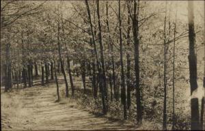 Wooded Road Scene - Saugus MA Written on Back Real Photo Postcard c1910