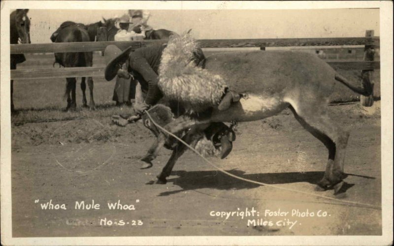 Miles City MT Rodeo Cowboy Steer Roping c1920 Real Photo Postcard