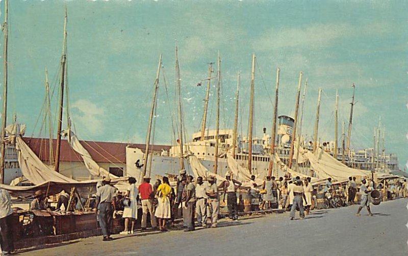 Colorful Out Island Nassau in the Bahamas Unused 