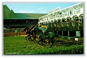 Vintage 1950's Postcard Thoroughbred Horse Racing at Saratoga Springs New York