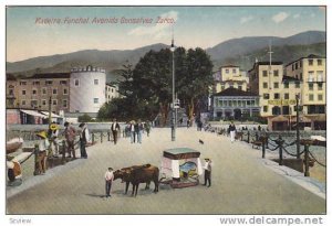 Madeira , Funchal. Avenida Gonsalves Zarco , 00-10s Portugal