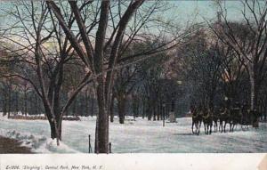 New York City Sleighing In Central Park