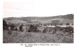 Looking North - Cuba Lake, New York