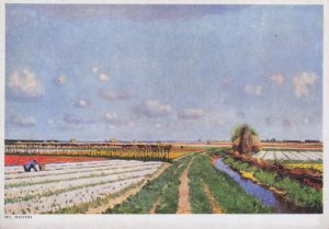 Mil Maeyens Hollandche Bloemenvelden Champs Old Painting Postcard