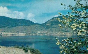 Canada Blossom Time in the Okanagan Valley British Columbia Postcard 07.53