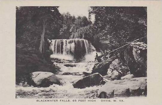 West Virginia Davis Blackwater Falls Albertype