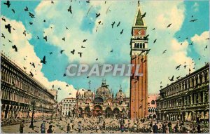 Modern Postcard Venezia St. Mark's Square and Volee Pigeons
