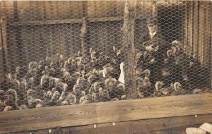 J10/ Interesting RPPC Postcard c1910 Turkey Farmer Occupational Pen 140 