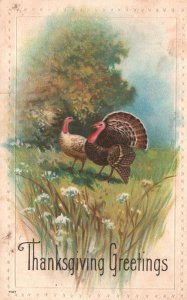 1923 Thanksgiving Greetings Turkeys Wild Flowers Landscapes Vintage Postcard