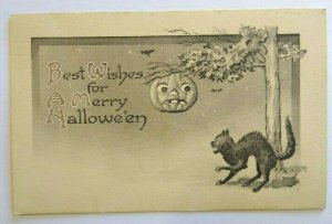 Halloween Postcard Gibson Black Cat Gets Spooked Sepia Original Amherst Mass 