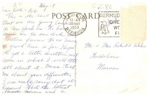 Ocean monarch , Bermuda