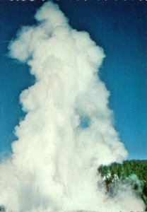 Yellowstone National Park Old Faithful Geyser