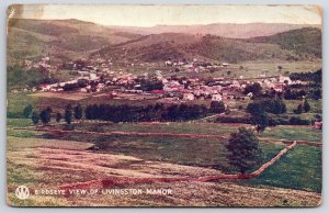 1915 Livingston Manor Bird's Eye View Sullivan County New York Posted Postcard