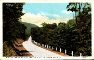 Pennsylvania Scenic View On Bucktail Trail U S 120 Near Lock Haven 1939 Curteich