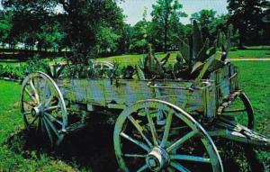 Texas Grapevine Old Cactus Wagon Austin Patio Dude Ranch