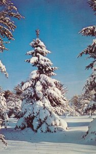 Winter in Bristol Hills, Finger Lakes Region NY, New York