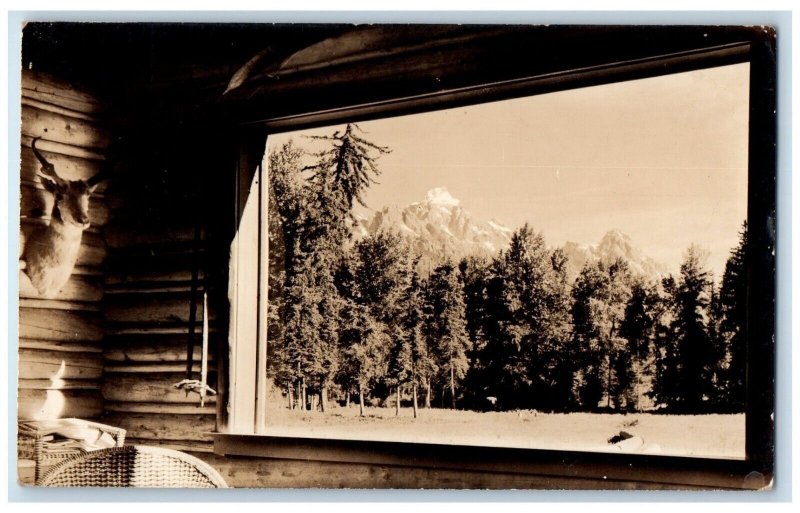 c1950's Taxidermy Deer Sky Line Ranch Interior Moose WY RPPC Photo Postcard